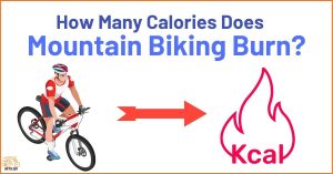 How Many Calories Does Mountain Biking Burn?