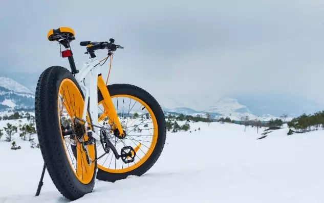 Best fat bike tires for snow