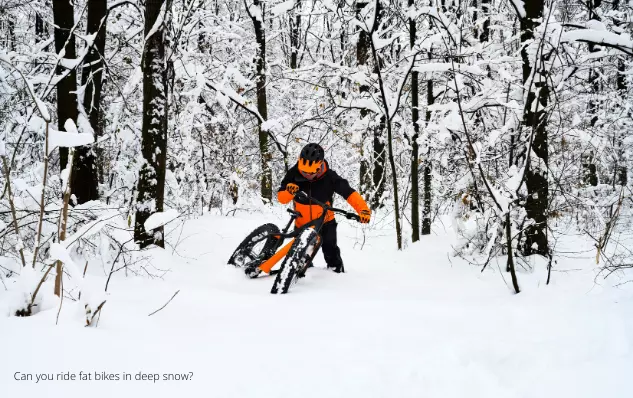 Can you ride fat bikes in deep snow