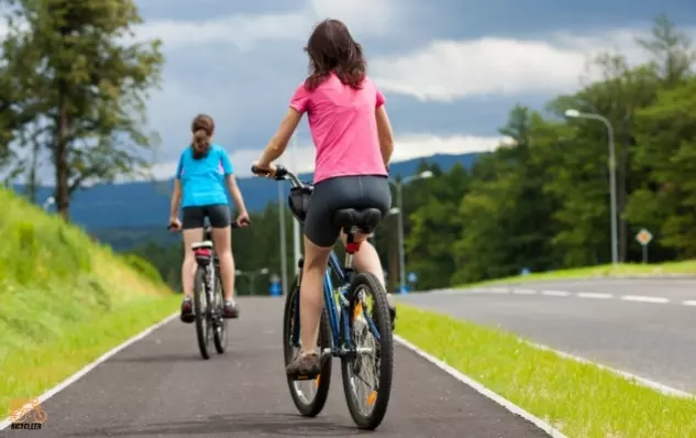 What Is A Hybrid Bikes For Women_