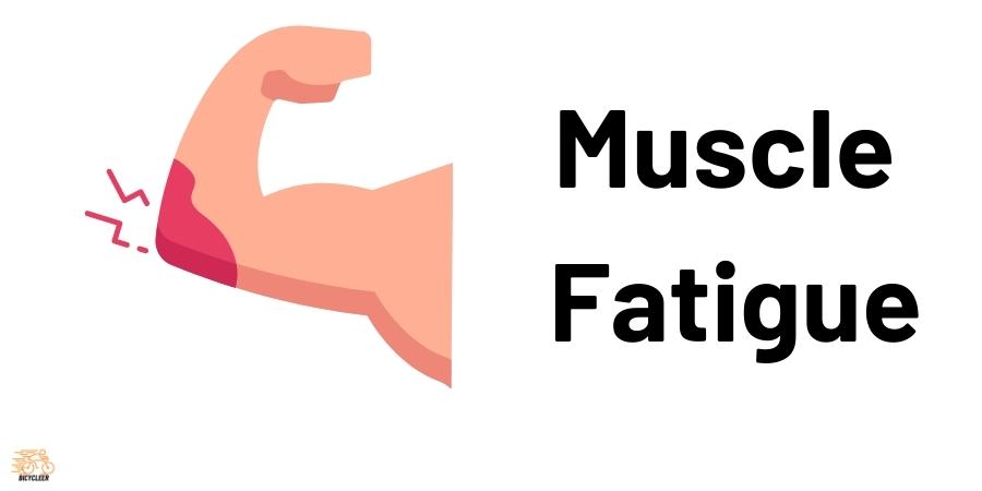 Muscle Fatigue