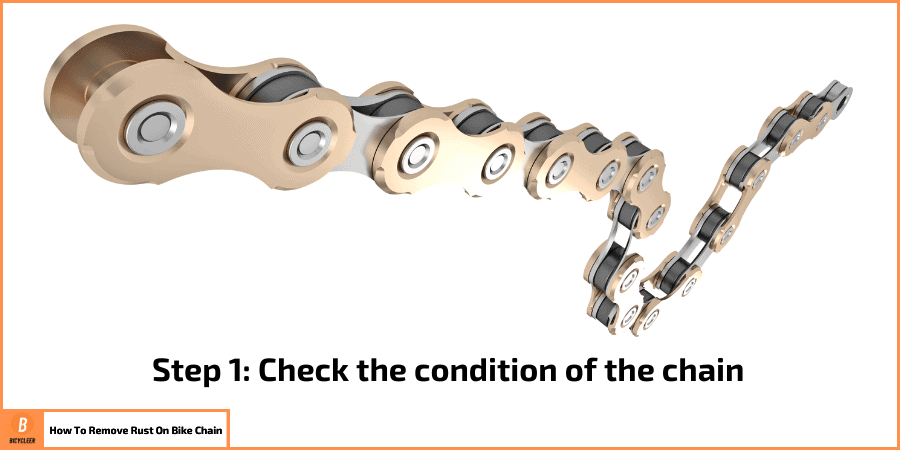 Step 1_ Check the condition of the chain