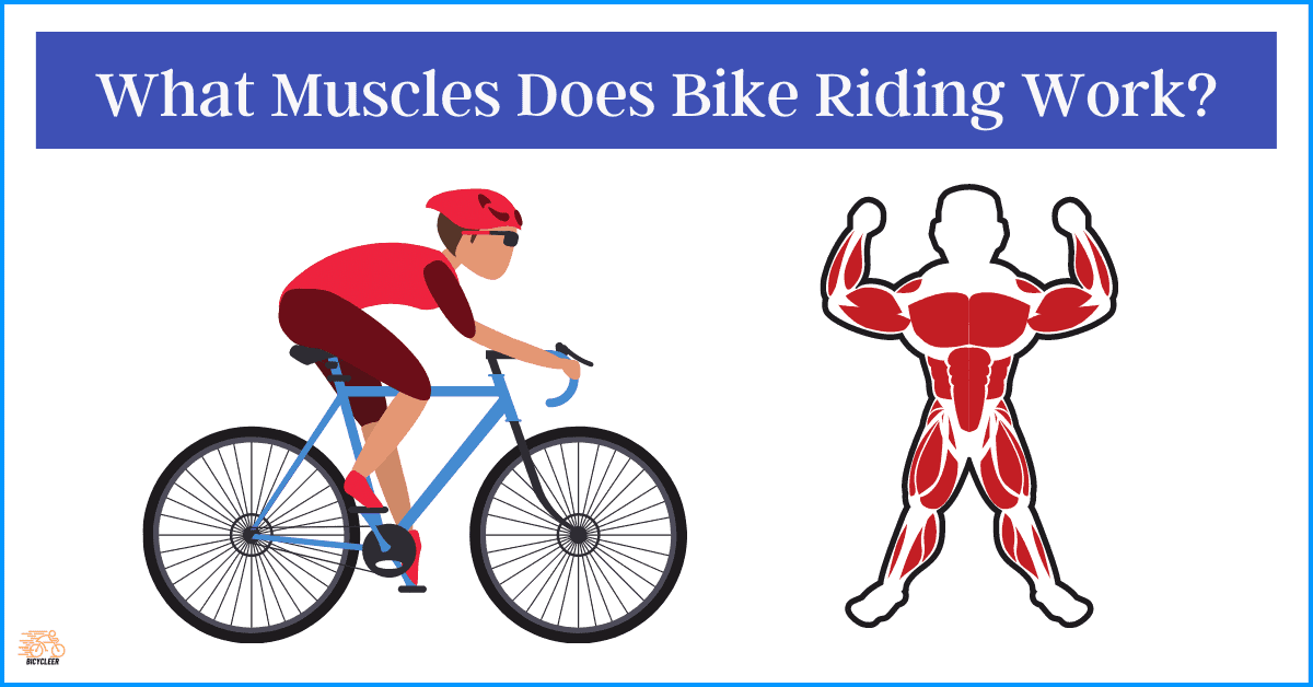 What Muscles Does Bike Riding Work