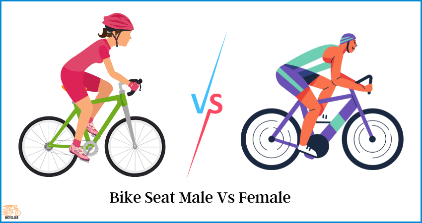 Bike Seat Male Vs Female