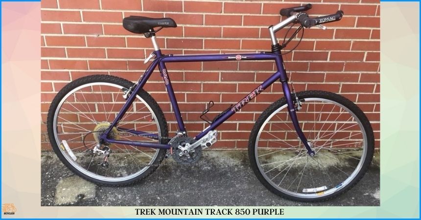 Trek Mountain Track 850 Purple 