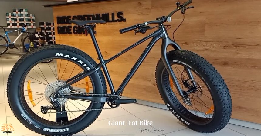 Fat Tire Bike By Gaint Bike Brand 
