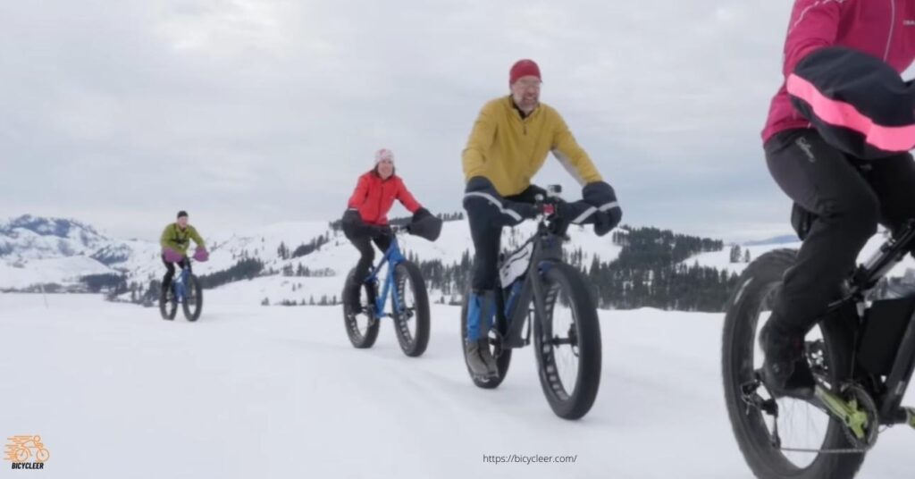 Fat Bike Easy To Maneuver- Ride in the snow