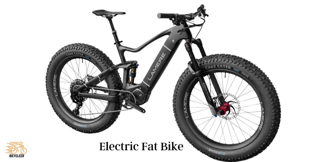 Electric Fat Bike