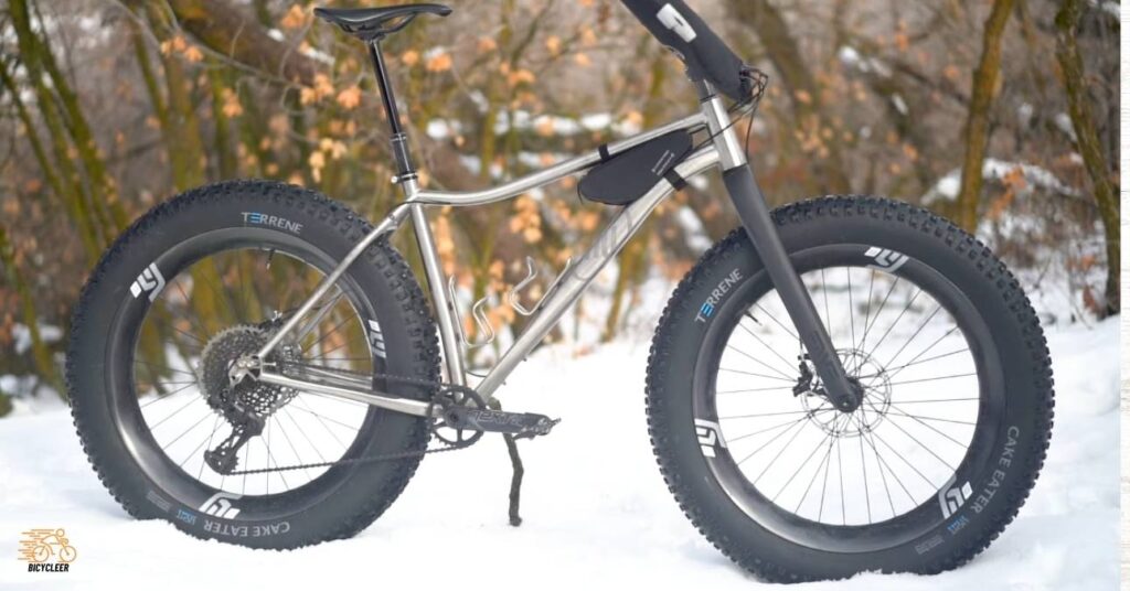 In Snow, A Fat Tire Bike