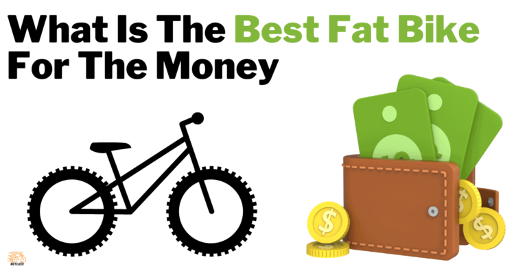 What Is The Best Fat Bike For The Money- Ultimate Guide