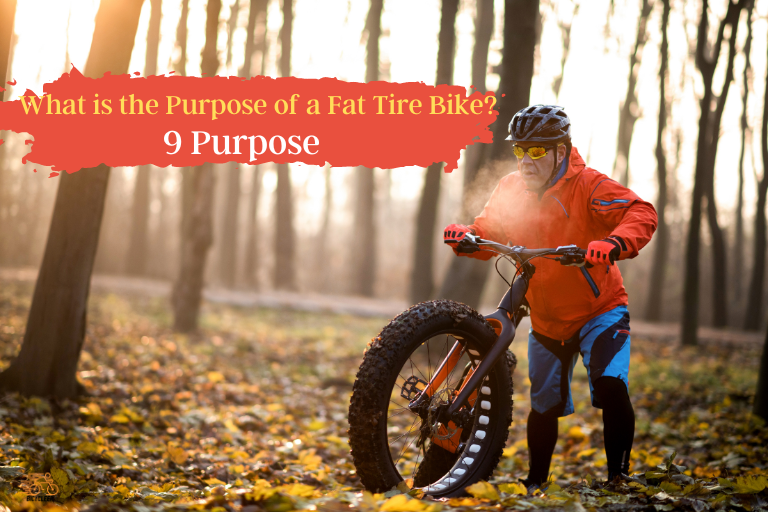 What is the Purpose of a Fat Tire Bike 9 Purpose