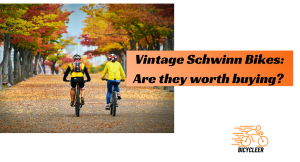Vintage Schwinn Bikes: Are they worth buying?